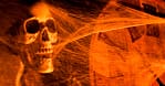 Show Off Your Sleuthing Skills At Abu Dhabis 1st Horror Escape Room! Abu Dhabi - Image 2