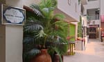Luxurious Accommodations With Prime Location And Culinary Excellence Dubai - Image 6