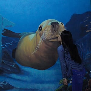 3d World Selfie Museum Dubai – Museums Shafqa.com Online Shopping, Best Prices in Dubai UAE