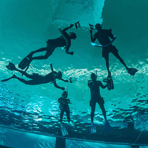 Deep Dive Dubai Surface Snorkeling Experience – Water Sports Shafqa.com Online Shopping, Best Prices in Dubai UAE
