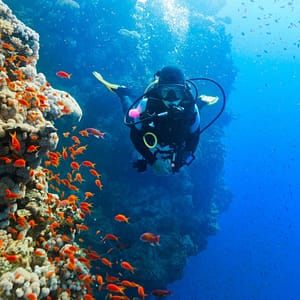 Diving Experience in Khasab – Outdoor Attractions Shafqa.com Online Shopping, Best Prices in Dubai UAE