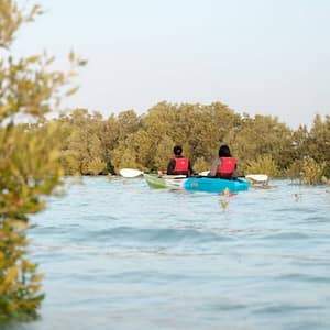 Guided Kayak Tour in the Mangroves at Sea Hawk Water Sports & Adventures – Eastern Mangroves, Abu Dhabi, United Arab Emirates Shafqa.com Online Shopping, Best Prices in Dubai UAE