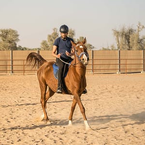 Horse Riding At Mleiha Arena – Sports Events Shafqa.com Online Shopping, Best Prices in Dubai UAE