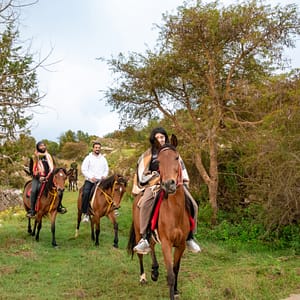 Horse Riding Experience – Recently Added Experiences Shafqa.com Online Shopping, Best Prices in Dubai UAE