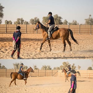 Horse Riding Training Course One Session – Sports Events Shafqa.com Online Shopping, Best Prices in Dubai UAE