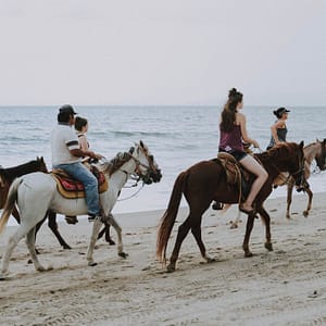 Horse Riding in Jeddah – Experiences Shafqa.com Online Shopping, Best Prices in Dubai UAE