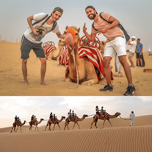Morning Desert Safari Dubai with Dune Bashing, Sand Boarding & Camel Ride – Desert safaris Shafqa.com Online Shopping, Best Prices in Dubai UAE
