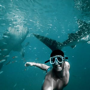 Private group Boating Experience with Dolphins Watching & Snorkeling – Sightseeing and Tours Shafqa.com Online Shopping, Best Prices in Dubai UAE