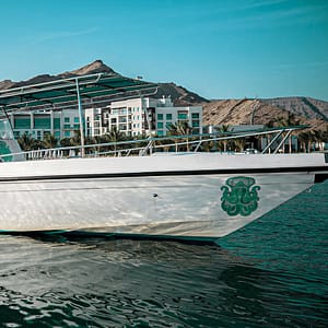 Private group Boating Experience with Snorkeling and Coastal Experience – Sightseeing and Tours Shafqa.com Online Shopping, Best Prices in Dubai UAE
