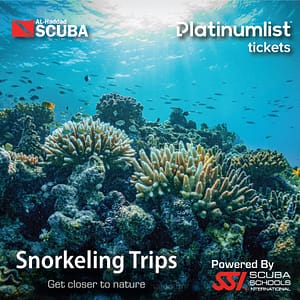 Snorkeling Daily Trips in Jeddah – Attractions Special Offers Shafqa.com Online Shopping, Best Prices in Dubai UAE