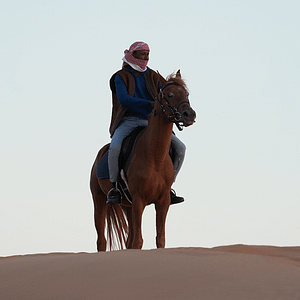 Storm Adventure – Daily Camp – Top-Rated Attractions Shafqa.com Online Shopping, Best Prices in Dubai UAE