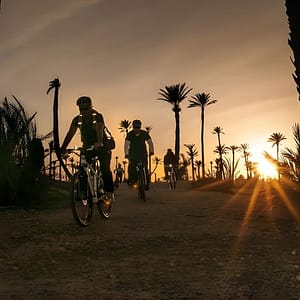 The Palmery Off-Road Bike Tour from Marrakech at M2MM+J3V, Marrakesh, Morocco Shafqa.com Online Shopping, Best Prices in Dubai UAE
