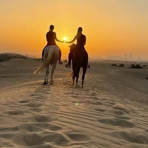 45-Minute To 60-Minute Private Horse Riding Lesson At Jsr Stables Dubai Shafqa.com Online Shopping, Best Prices in Dubai UAE