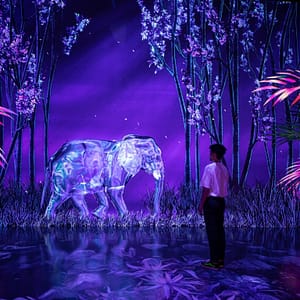 ARTE Museum + House Of Hype – Combo – Combos and more adventures Shafqa.com Online Shopping, Best Prices in Dubai UAE