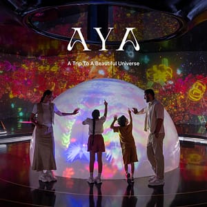 Smashing Pumpkins at Etihad Arena in Abu Dhabi – Concerts Shafqa.com Online Shopping, Best Prices in Dubai UAE 4