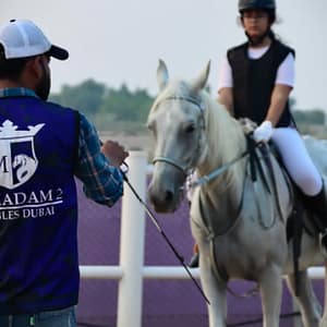Al Madam 2 Stables, 45-Minute Horse Riding Lesson Dubai Shafqa.com Online Shopping, Best Prices in Dubai UAE