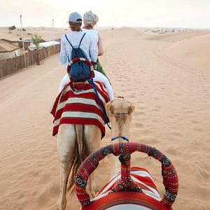 Campsite Dubai Shafqa.com Online Shopping, Best Prices in Dubai UAE
