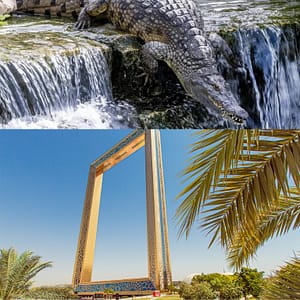 Crocodile Park Special Offer Combos – Upto 30% OFF – Attractions Special Offers Shafqa.com Online Shopping, Best Prices in Dubai UAE