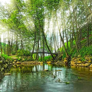 Daily Sapanca and Masukiye Tour: Full-Day Trip From Istanbul – Sightseeing and Tours Shafqa.com Online Shopping, Best Prices in Dubai UAE