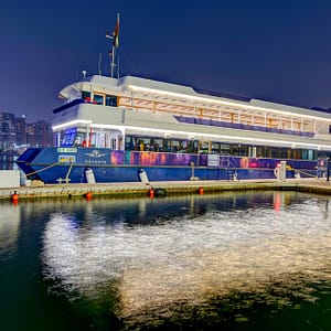 Delight In A Celeste Cruise Lunch Or Dinner For Child Or Adults Dubai Shafqa.com Online Shopping, Best Prices in Dubai UAE
