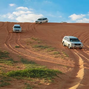 Desert Safari in RAK: Dune Bashing, Sand Boarding and a Camel Ride – Desert safaris Shafqa.com Online Shopping, Best Prices in Dubai UAE