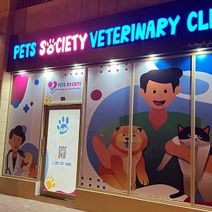 Discover Annual Vaccination, Deworming, Check-Up & More For Pets Dubai Shafqa.com Online Shopping, Best Prices in Dubai UAE