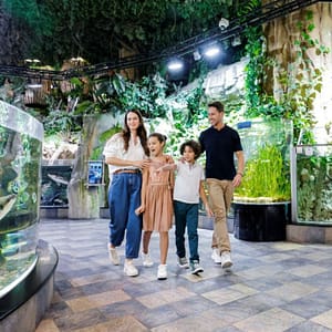 Dubai Aquarium & Underwater Zoo – Ultimate Experience – Experiences Shafqa.com Online Shopping, Best Prices in Dubai UAE