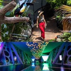 Dubai Frame + The Green Planet Dubai – Combo – Must-see attractions Shafqa.com Online Shopping, Best Prices in Dubai UAE