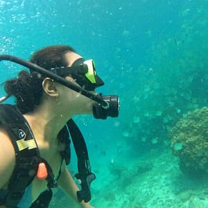 Embark On Adventure: Try Dive, Snorkeling Trip And Boat Trip Dubai Shafqa.com Online Shopping, Best Prices in Dubai UAE