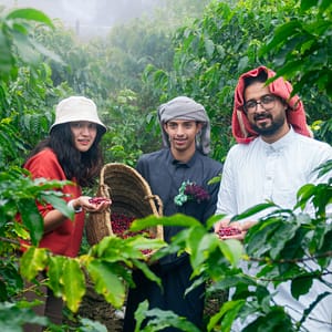 From Arabica to Arabian – Coffee Experience at a local farm – Recently Added Experiences Shafqa.com Online Shopping, Best Prices in Dubai UAE