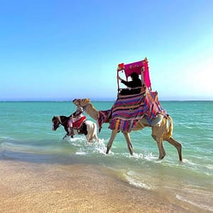 Full Day Obhur & Beach Tour With Transfers – Recently Added Experiences Shafqa.com Online Shopping, Best Prices in Dubai UAE