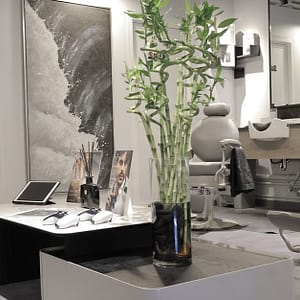 Haircut, Wash, And Style For Kids Or Adults With Optional Shave Dubai Shafqa.com Online Shopping, Best Prices in Dubai UAE