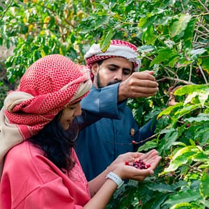 Hike with a local coffee farmer – Recently Added Experiences Shafqa.com Online Shopping, Best Prices in Dubai UAE
