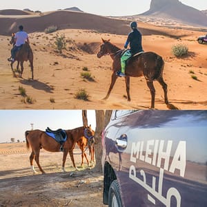Horse Back Riding Desert Hack – Sports Events Shafqa.com Online Shopping, Best Prices in Dubai UAE