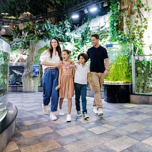 Marine Magic Awaits: Dubai Aquarium & Penguin Cove For 1, 2, Or 4! Dubai Shafqa.com Online Shopping, Best Prices in Dubai UAE