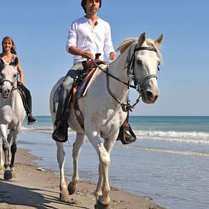One Hour Beach Horse Riding Experiences At Al Sultan Equestrian Club Abu Dhabi Shafqa.com Online Shopping, Best Prices in Dubai UAE