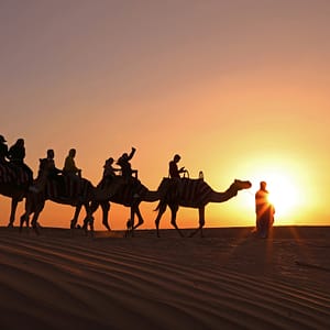 Tamer Hosny and Al Shami in Dubai – Concerts Shafqa.com Online Shopping, Best Prices in Dubai UAE 4