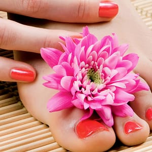 Roses With Ferrero Chocolates Dubai Shafqa.com Online Shopping, Best Prices in Dubai UAE 7