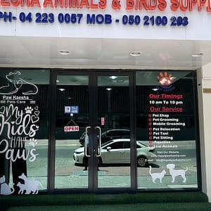 Pet Store Dubai Shafqa.com Online Shopping, Best Prices in Dubai UAE 2