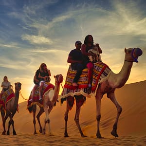 Premium Red Dunes Safari with Camel Ride & 3 Cuisines at Al Khayma Camp – Desert safaris Shafqa.com Online Shopping, Best Prices in Dubai UAE