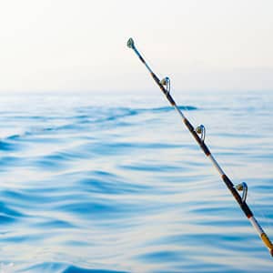 Private fishing boat tour – Sightseeing and Tours Shafqa.com Online Shopping, Best Prices in Dubai UAE