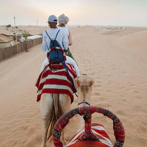 Savor The Ultimate Vip Desert Safari Tour With Home Pickup & Drop Off Dubai Shafqa.com Online Shopping, Best Prices in Dubai UAE