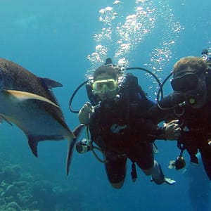 Scuba Diving Experience Dubai Shafqa.com Online Shopping, Best Prices in Dubai UAE