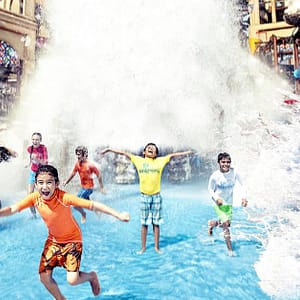 Sheikh Zayed Grand Mosque & Water Park Entry Dubai Shafqa.com Online Shopping, Best Prices in Dubai UAE
