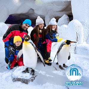 Dinner Cruise In Dubai Marina + Free Al Shindagha Museum Tickets – Boat Tours and Cruises Shafqa.com Online Shopping, Best Prices in Dubai UAE 4