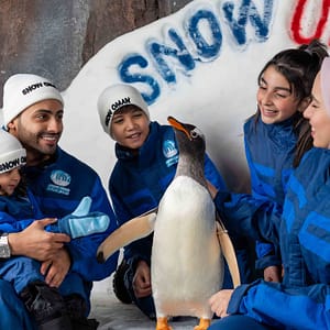 Snow Oman – Top-Rated Attractions Shafqa.com Online Shopping, Best Prices in Dubai UAE