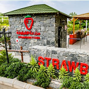 Strawberry Farm – Top-Rated Attractions Shafqa.com Online Shopping, Best Prices in Dubai UAE