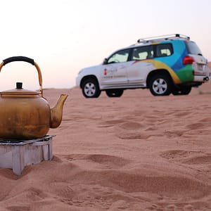 Sunrise and Wildlife Experience in the Desert – Desert safaris Shafqa.com Online Shopping, Best Prices in Dubai UAE