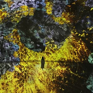 TeamLab Phenomena + Louvre Abu Dhabi – Combo – Recently Added Experiences Shafqa.com Online Shopping, Best Prices in Dubai UAE