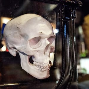 The Ghost Bus Tours – York – Sightseeing and Tours Shafqa.com Online Shopping, Best Prices in Dubai UAE